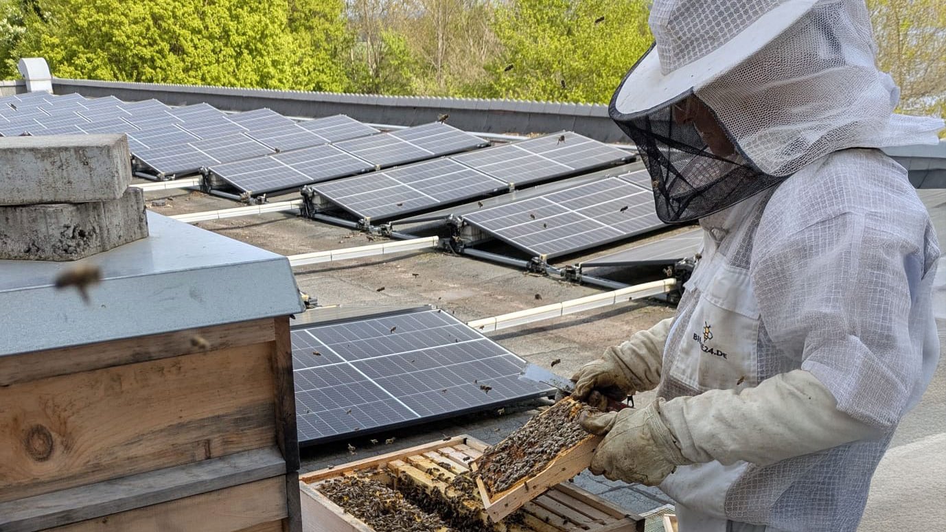 GRÜN fördert Umwelt- und Artenschutz mit eigenen Bienenstöcke