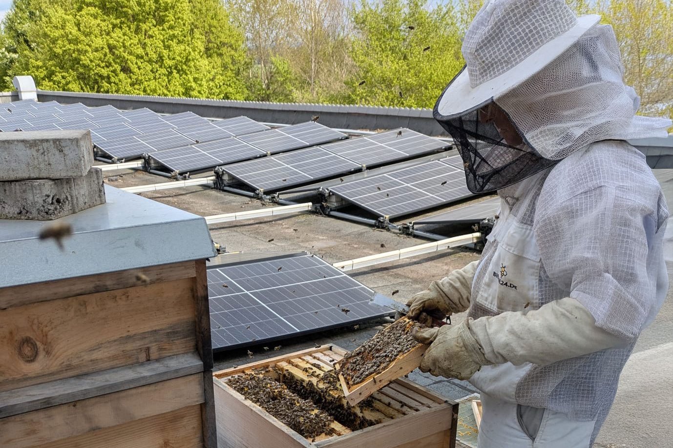 GRÜN fördert Umwelt- und Artenschutz mit eigenen Bienenstöcke