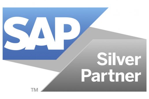SAP Silver Partners