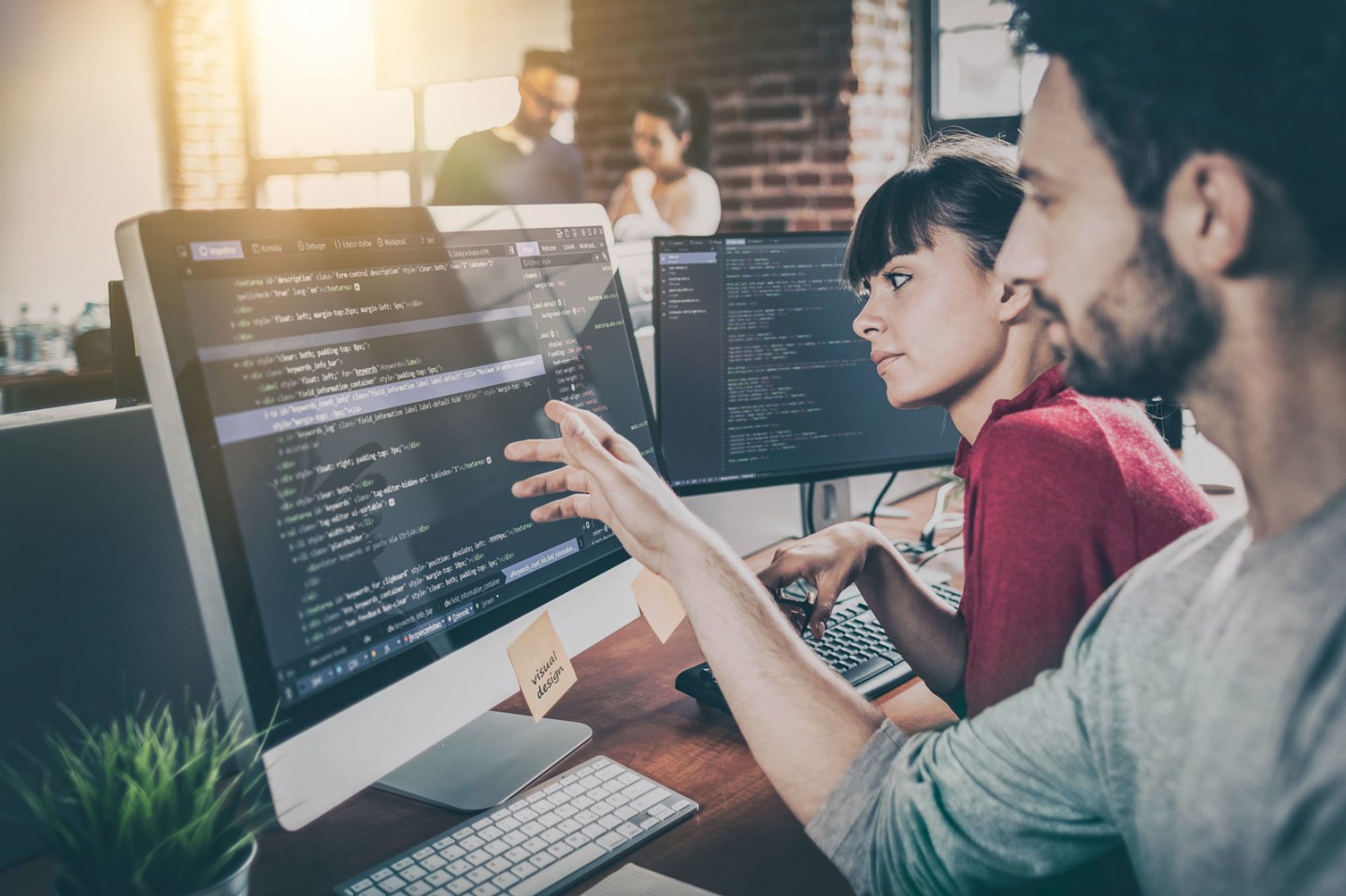 Software Entwickler GRÜN Software AG